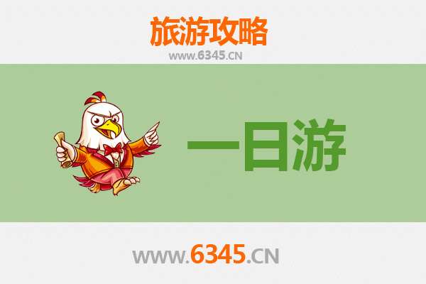 庆阳镇原自驾一日游：探秘陇东风情，品味黄土高原魅力