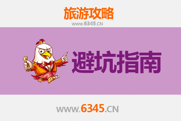 镇原旅游全攻略：资深博主亲测的五大忠告与须知