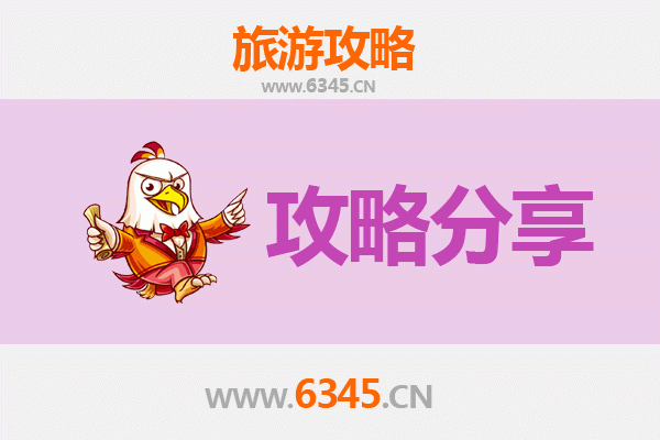 庆阳镇原旅游攻略：跟团与自由行深度对比