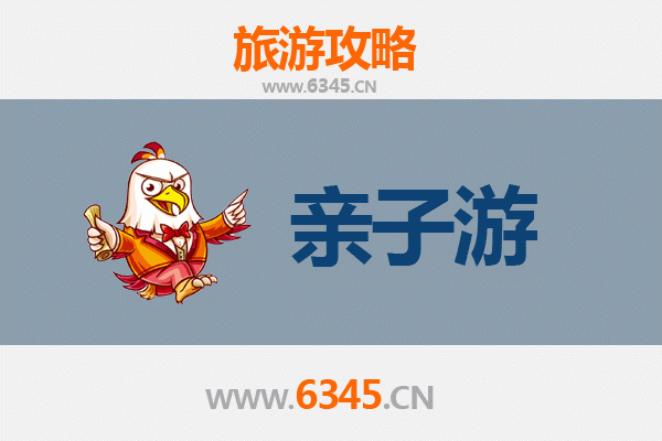 庆阳镇原亲子游：黄土风情与非遗文化的温馨之旅